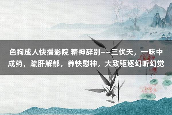 色狗成人快播影院 精神辞别——三伏天，一味中成药，疏肝解郁，养快慰神，大致驱逐幻听幻觉