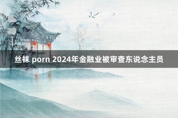 丝袜 porn 2024年金融业被审查东说念主员