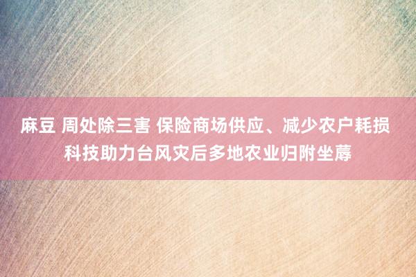 麻豆 周处除三害 保险商场供应、减少农户耗损 科技助力台风灾后多地农业归附坐蓐