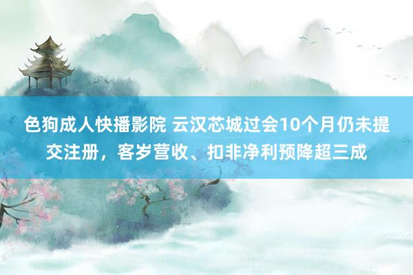 色狗成人快播影院 云汉芯城过会10个月仍未提交注册，客岁营收、扣非净利预降超三成