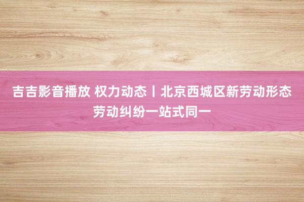 吉吉影音播放 权力动态丨北京西城区新劳动形态劳动纠纷一站式同一