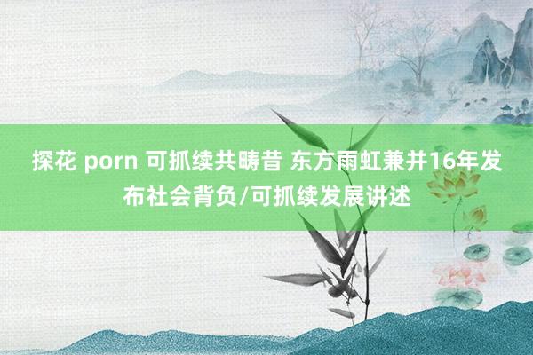 探花 porn 可抓续共畴昔 东方雨虹兼并16年发布社会背负/可抓续发展讲述