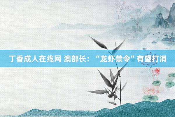 丁香成人在线网 澳部长：“龙虾禁令”有望打消