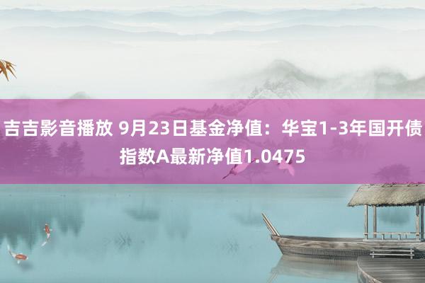 吉吉影音播放 9月23日基金净值：华宝1-3年国开债指数A最新净值1.0475