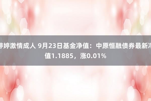 婷婷激情成人 9月23日基金净值：中原恒融债券最新净值1.1885，涨0.01%