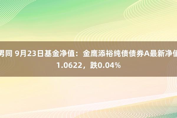 男同 9月23日基金净值：金鹰添裕纯债债券A最新净值1.0622，跌0.04%