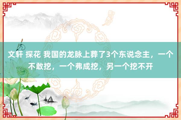 文轩 探花 我国的龙脉上葬了3个东说念主，一个不敢挖，一个弗成挖，另一个挖不开