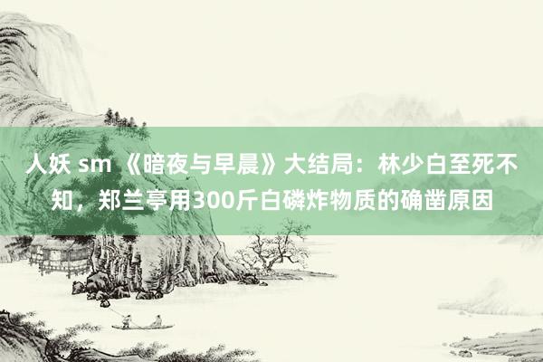 人妖 sm 《暗夜与早晨》大结局：林少白至死不知，郑兰亭用300斤白磷炸物质的确凿原因