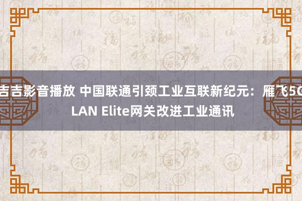 吉吉影音播放 中国联通引颈工业互联新纪元：雁飞5G LAN Elite网关改进工业通讯