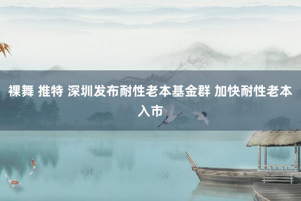 裸舞 推特 深圳发布耐性老本基金群 加快耐性老本入市