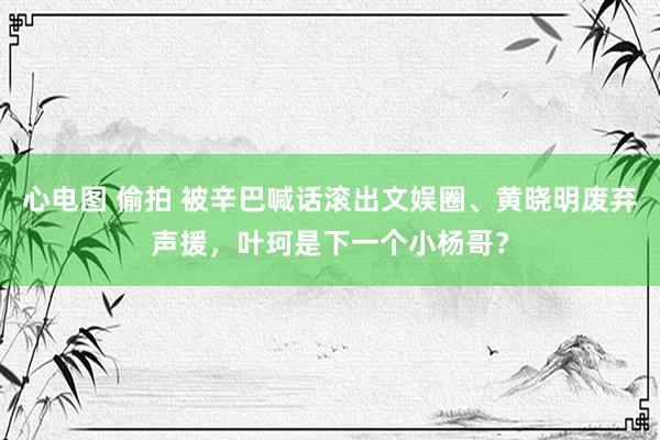 心电图 偷拍 被辛巴喊话滚出文娱圈、黄晓明废弃声援，叶珂是下一个小杨哥？