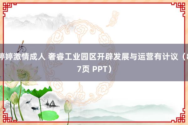 婷婷激情成人 奢睿工业园区开辟发展与运营有计议（87页 PPT）