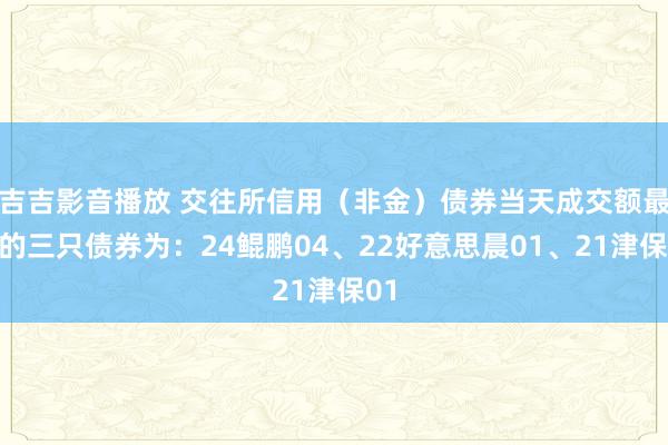 吉吉影音播放 交往所信用（非金）债券当天成交额最高的三只债券为：24鲲鹏04、22好意思晨01、21津保01