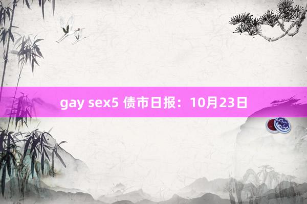 gay sex5 债市日报：10月23日