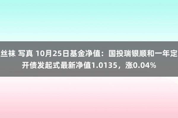 丝袜 写真 10月25日基金净值：国投瑞银顺和一年定开债发起式最新净值1.0135，涨0.04%