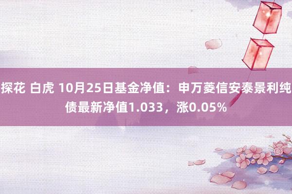 探花 白虎 10月25日基金净值：申万菱信安泰景利纯债最新净值1.033，涨0.05%