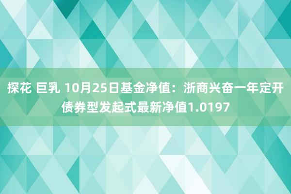 探花 巨乳 10月25日基金净值：浙商兴奋一年定开债券型发起式最新净值1.0197