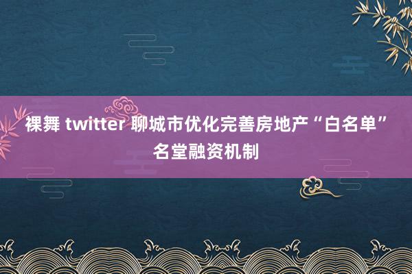 裸舞 twitter 聊城市优化完善房地产“白名单”名堂融资机制