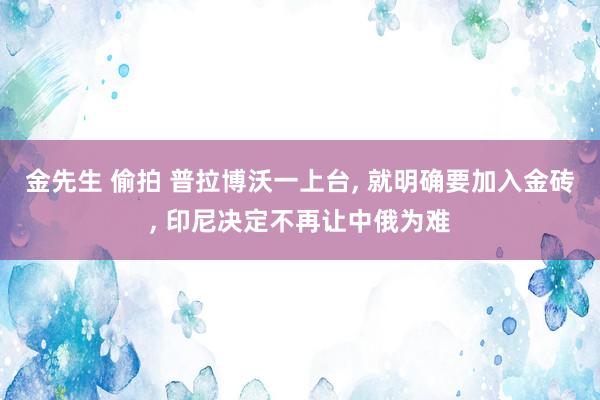 金先生 偷拍 普拉博沃一上台， 就明确要加入金砖， 印尼决定不再让中俄为难