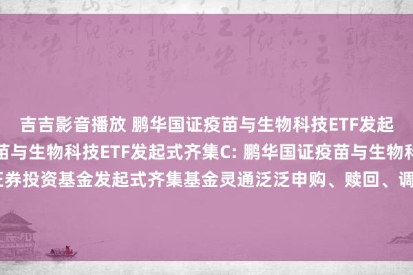 吉吉影音播放 鹏华国证疫苗与生物科技ETF发起式齐集A，鹏华国证疫苗与生物科技ETF发起式齐集C: 鹏华国证疫苗与生物科技来往型灵通式指数证券投资基金发起式齐集基金灵通泛泛申购、赎回、调节和依期定额投资业务及营救单笔最低赎回份额和账户最低份额余额实现的公告