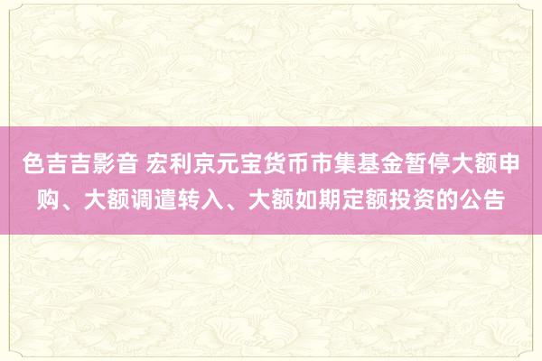 色吉吉影音 宏利京元宝货币市集基金暂停大额申购、大额调遣转入、大额如期定额投资的公告