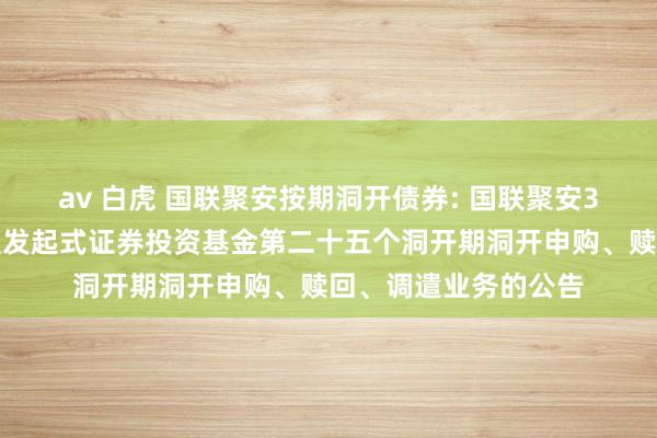 av 白虎 国联聚安按期洞开债券: 国联聚安3个月按期洞开债券型发起式证券投资基金第二十五个洞开期洞开申购、赎回、调遣业务的公告