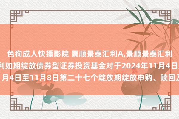 色狗成人快播影院 景顺景泰汇利A，景顺景泰汇利C: 景顺长城景泰汇利如期绽放债券型证券投资基金对于2024年11月4日至11月8日第二十七个绽放期绽放申购、赎回及调治业务的公告