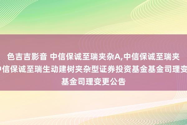 色吉吉影音 中信保诚至瑞夹杂A，中信保诚至瑞夹杂C: 中信保诚至瑞生动建树夹杂型证券投资基金基金司理变更公告