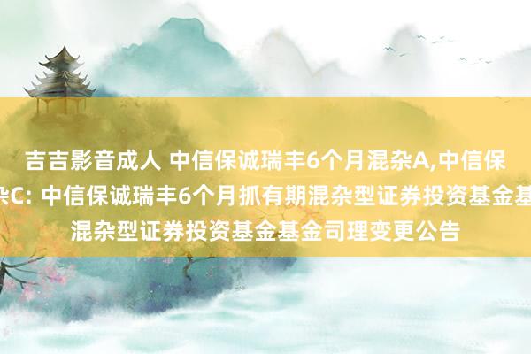 吉吉影音成人 中信保诚瑞丰6个月混杂A，中信保诚瑞丰6个月混杂C: 中信保诚瑞丰6个月抓有期混杂型证券投资基金基金司理变更公告