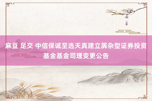 麻豆 足交 中信保诚至选天真建立羼杂型证券投资基金基金司理变更公告