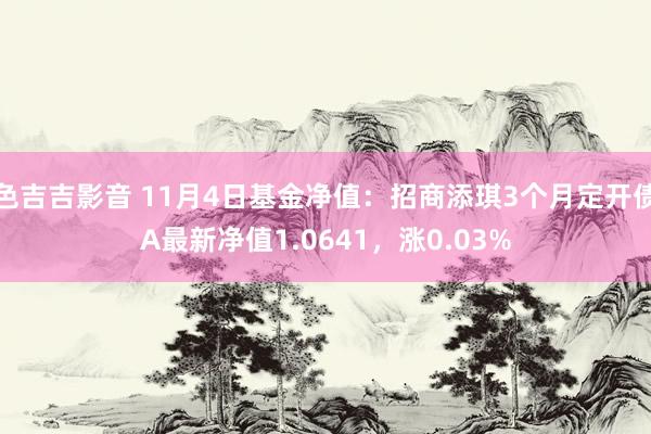 色吉吉影音 11月4日基金净值：招商添琪3个月定开债A最新净值1.0641，涨0.03%