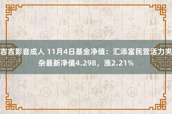 吉吉影音成人 11月4日基金净值：汇添富民营活力夹杂最新净值4.298，涨2.21%