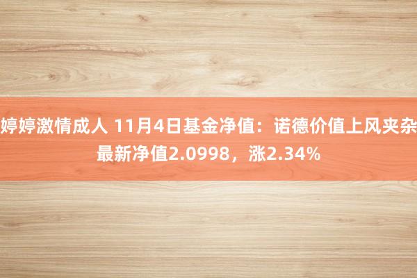 婷婷激情成人 11月4日基金净值：诺德价值上风夹杂最新净值2.0998，涨2.34%