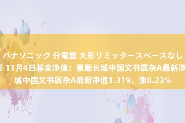 パナソニック 分電盤 大形リミッタースペースなし 露出・半埋込両用形 11月4日基金净值：景顺长城中国文书羼杂A最新净值1.319，涨0.23%