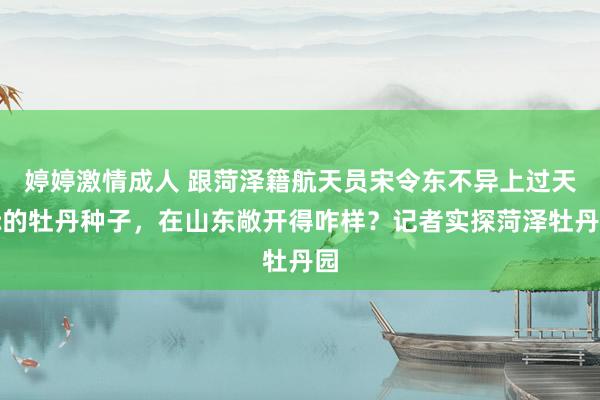 婷婷激情成人 跟菏泽籍航天员宋令东不异上过天际的牡丹种子，在山东敞开得咋样？记者实探菏泽牡丹园