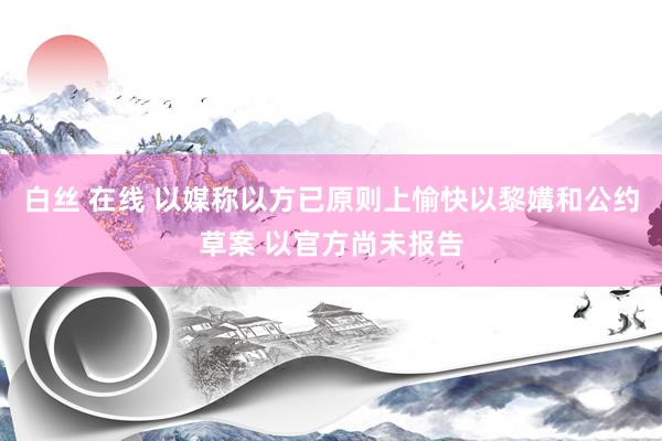 白丝 在线 以媒称以方已原则上愉快以黎媾和公约草案 以官方尚未报告