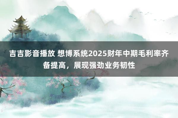 吉吉影音播放 想博系统2025财年中期毛利率齐备提高，展现强劲业务韧性