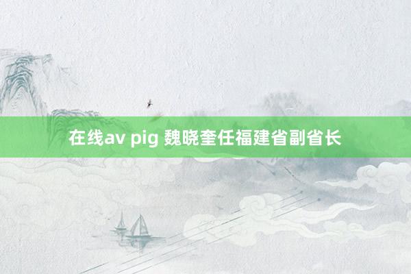 在线av pig 魏晓奎任福建省副省长