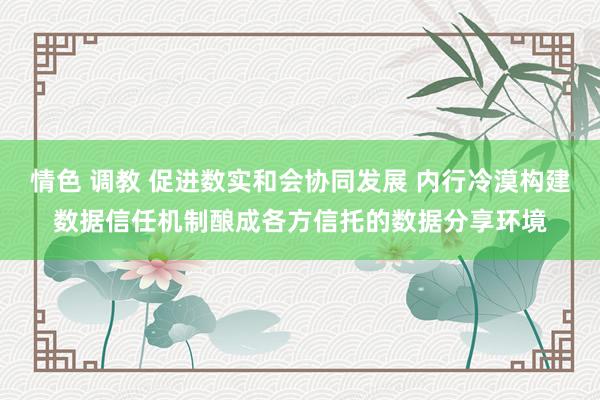 情色 调教 促进数实和会协同发展 内行冷漠构建数据信任机制酿成各方信托的数据分享环境