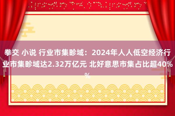 拳交 小说 行业市集畛域：2024年人人低空经济行业市集畛域达2.32万亿元 北好意思市集占比超40%