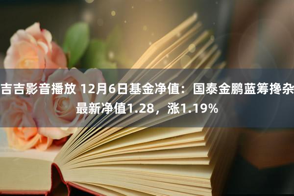 吉吉影音播放 12月6日基金净值：国泰金鹏蓝筹搀杂最新净值1.28，涨1.19%