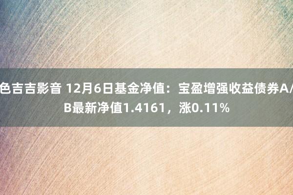 色吉吉影音 12月6日基金净值：宝盈增强收益债券A/B最新净值1.4161，涨0.11%