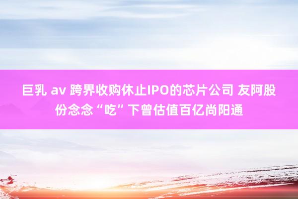 巨乳 av 跨界收购休止IPO的芯片公司 友阿股份念念“吃”下曾估值百亿尚阳通