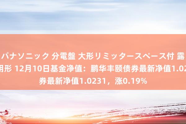 パナソニック 分電盤 大形リミッタースペース付 露出・半埋込両用形 12月10日基金净值：鹏华丰颐债券最新净值1.0231，涨0.19%