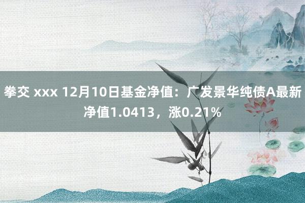 拳交 xxx 12月10日基金净值：广发景华纯债A最新净值1.0413，涨0.21%