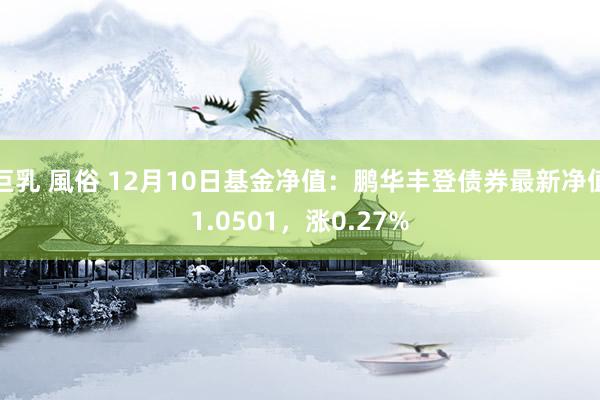 巨乳 風俗 12月10日基金净值：鹏华丰登债券最新净值1.0501，涨0.27%