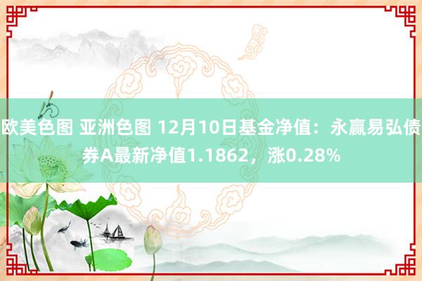 欧美色图 亚洲色图 12月10日基金净值：永赢易弘债券A最新净值1.1862，涨0.28%