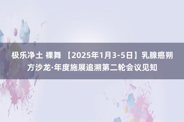 极乐净土 裸舞 【2025年1月3-5日】乳腺癌朔方沙龙·年度施展追溯第二轮会议见知