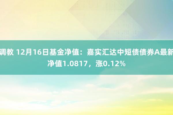 调教 12月16日基金净值：嘉实汇达中短债债券A最新净值1.0817，涨0.12%