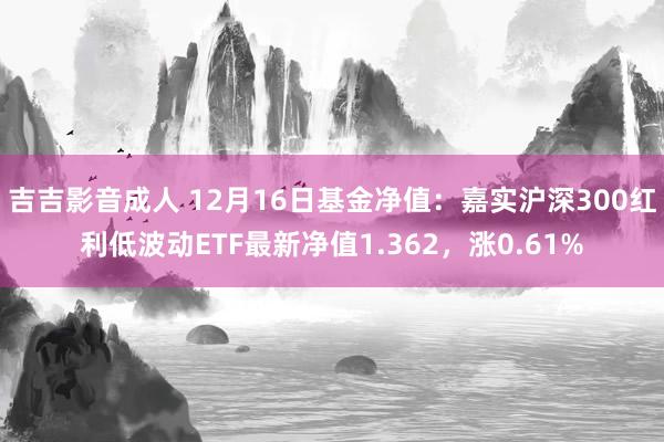 吉吉影音成人 12月16日基金净值：嘉实沪深300红利低波动ETF最新净值1.362，涨0.61%